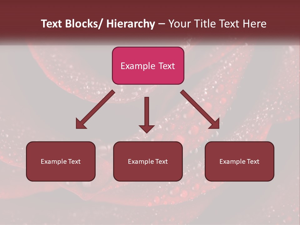 Macro Photography Of Water Drops On A Rose PowerPoint Template