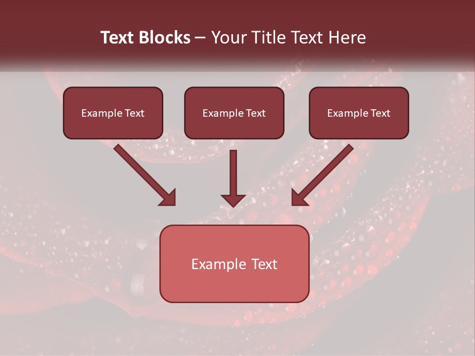 Macro Photography Of Water Drops On A Rose PowerPoint Template