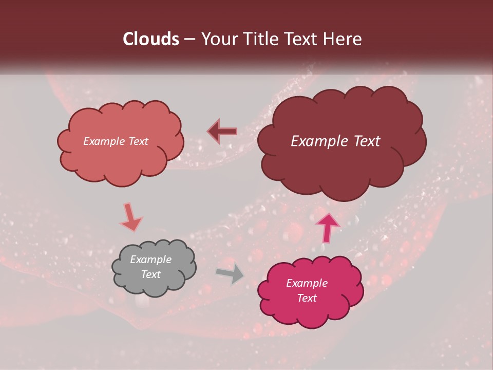 Macro Photography Of Water Drops On A Rose PowerPoint Template