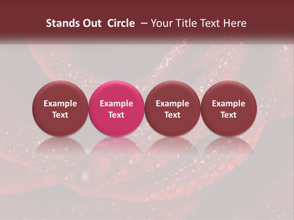 Macro Photography Of Water Drops On A Rose PowerPoint Template