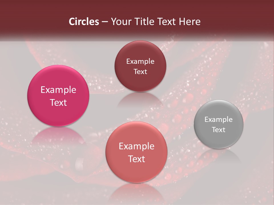 Macro Photography Of Water Drops On A Rose PowerPoint Template