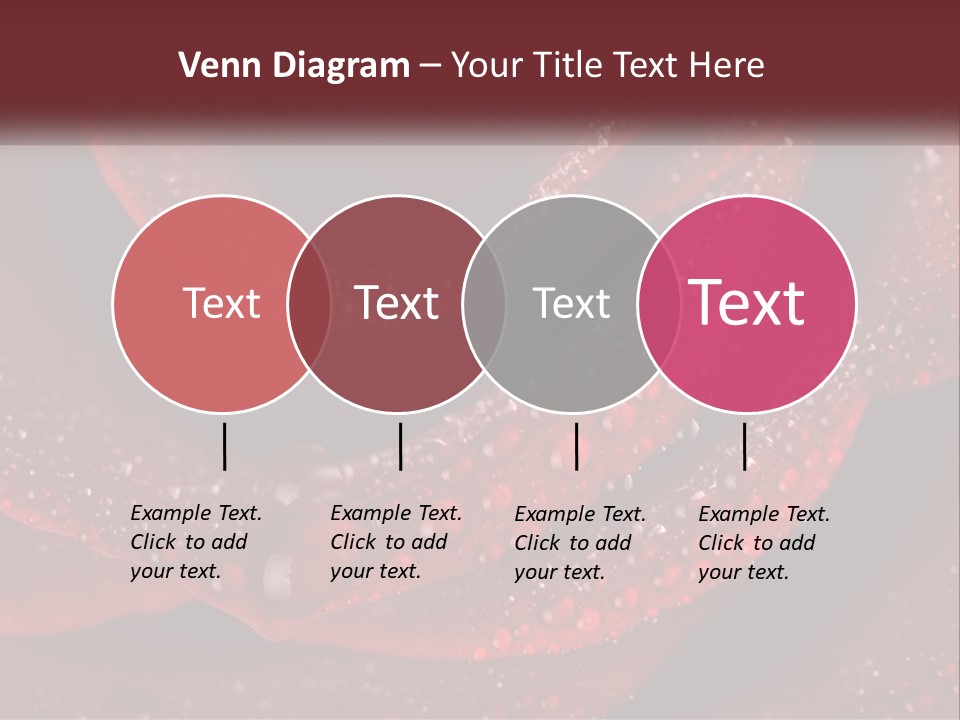 Macro Photography Of Water Drops On A Rose PowerPoint Template