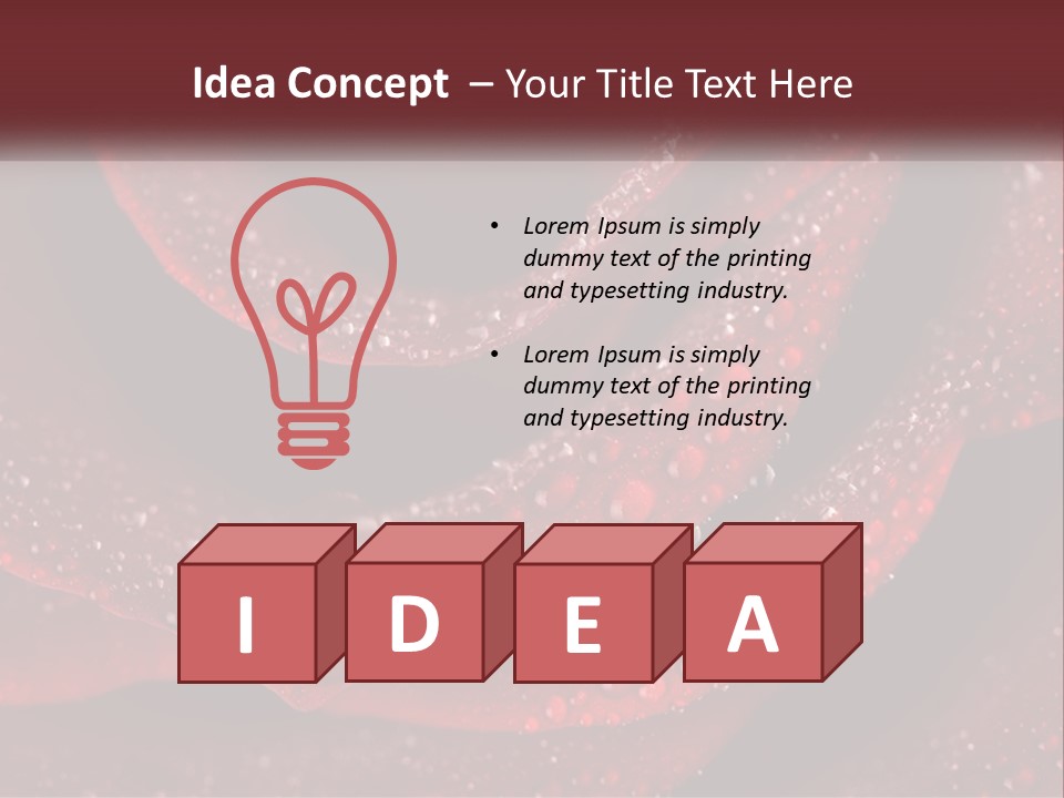 Macro Photography Of Water Drops On A Rose PowerPoint Template