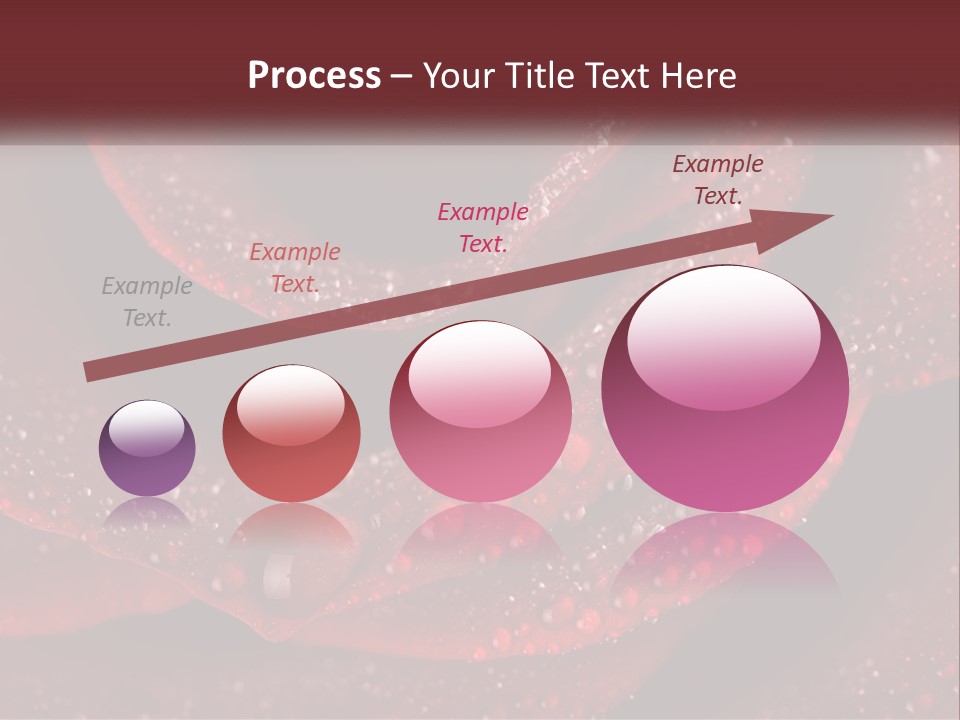 Macro Photography Of Water Drops On A Rose PowerPoint Template