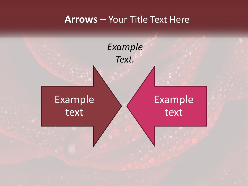 Macro Photography Of Water Drops On A Rose PowerPoint Template