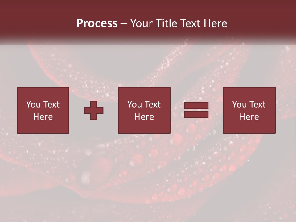 Macro Photography Of Water Drops On A Rose PowerPoint Template