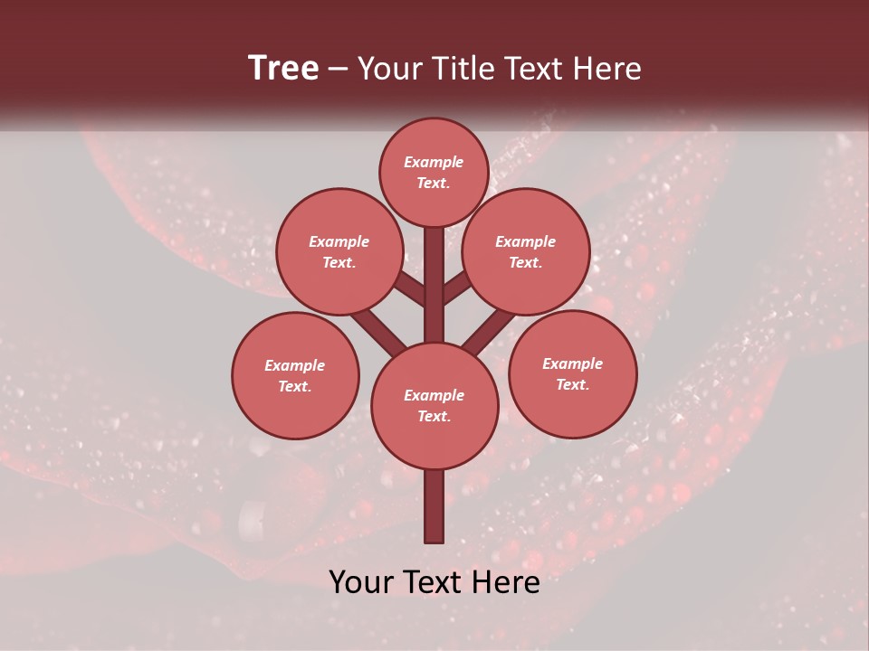 Macro Photography Of Water Drops On A Rose PowerPoint Template