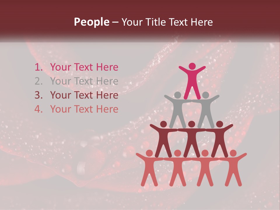 Macro Photography Of Water Drops On A Rose PowerPoint Template