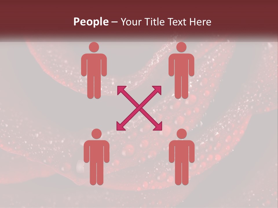 Macro Photography Of Water Drops On A Rose PowerPoint Template