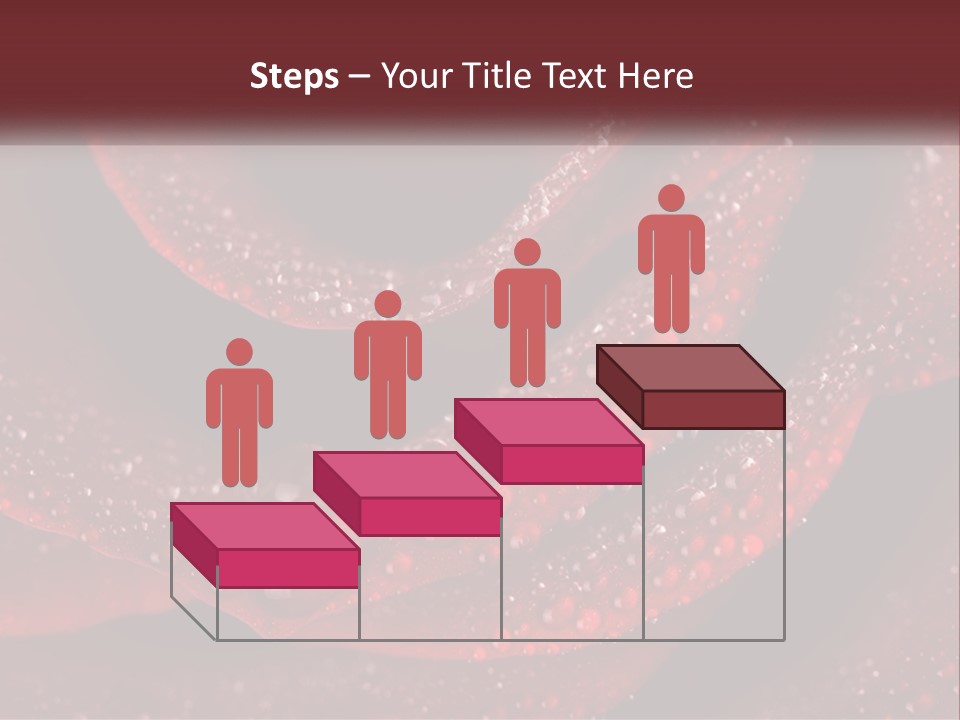 Macro Photography Of Water Drops On A Rose PowerPoint Template