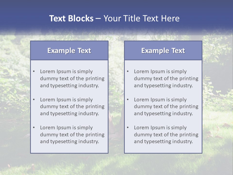 Mature Couple On The Grass PowerPoint Template