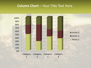 Dig The Ground PowerPoint Template