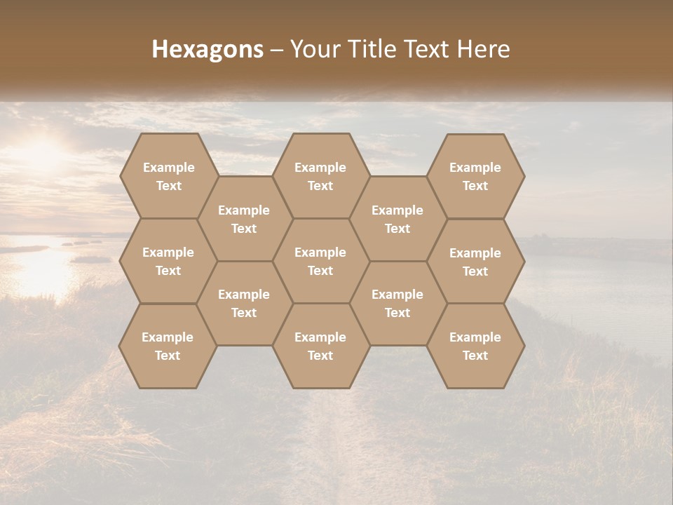 Path Through The Swamp PowerPoint Template