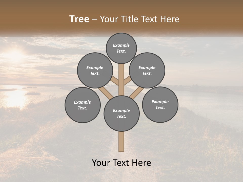 Path Through The Swamp PowerPoint Template