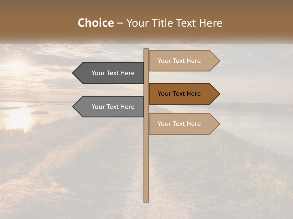 Path Through The Swamp PowerPoint Template
