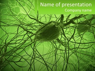 Connection Of Neurons PowerPoint Template