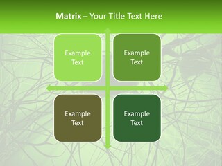 Connection Of Neurons PowerPoint Template