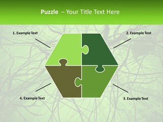Connection Of Neurons PowerPoint Template