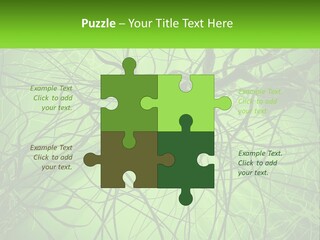 Connection Of Neurons PowerPoint Template