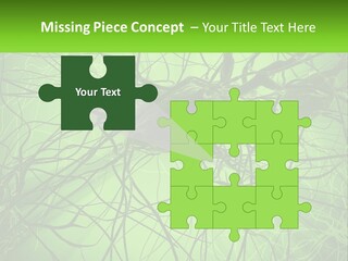 Connection Of Neurons PowerPoint Template