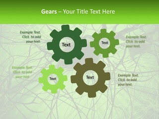 Connection Of Neurons PowerPoint Template