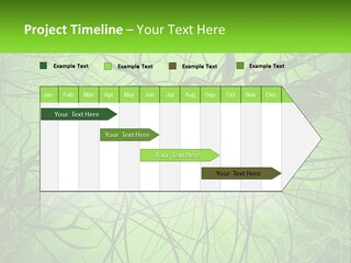 Connection Of Neurons PowerPoint Template