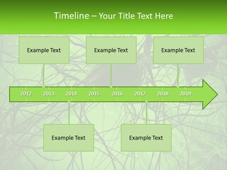 Connection Of Neurons PowerPoint Template