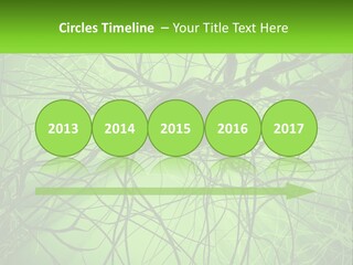 Connection Of Neurons PowerPoint Template