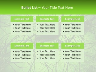 Connection Of Neurons PowerPoint Template