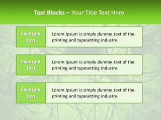 Connection Of Neurons PowerPoint Template