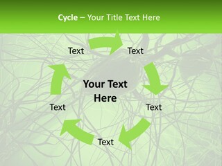 Connection Of Neurons PowerPoint Template