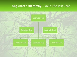 Connection Of Neurons PowerPoint Template