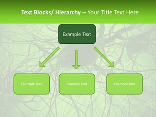 Connection Of Neurons PowerPoint Template