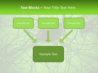 Connection Of Neurons PowerPoint Template