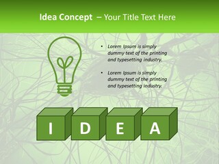 Connection Of Neurons PowerPoint Template