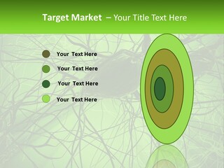 Connection Of Neurons PowerPoint Template