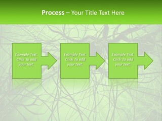 Connection Of Neurons PowerPoint Template