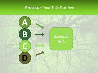 Connection Of Neurons PowerPoint Template
