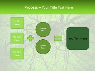 Connection Of Neurons PowerPoint Template