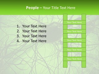 Connection Of Neurons PowerPoint Template