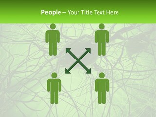 Connection Of Neurons PowerPoint Template