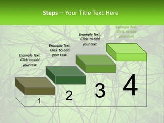 Connection Of Neurons PowerPoint Template