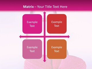 Perfumes PowerPoint Template