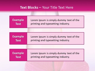 Perfumes PowerPoint Template