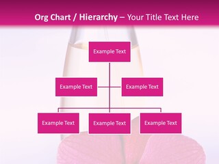 Perfumes PowerPoint Template