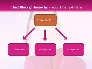 Perfumes PowerPoint Template