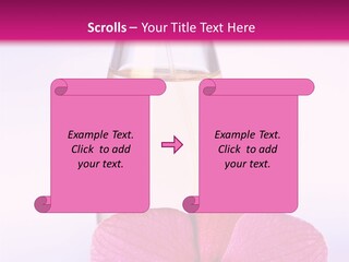 Perfumes PowerPoint Template