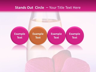 Perfumes PowerPoint Template
