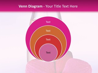 Perfumes PowerPoint Template