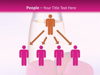 Perfumes PowerPoint Template